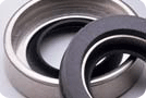 Dynalip-LipSeal-134r